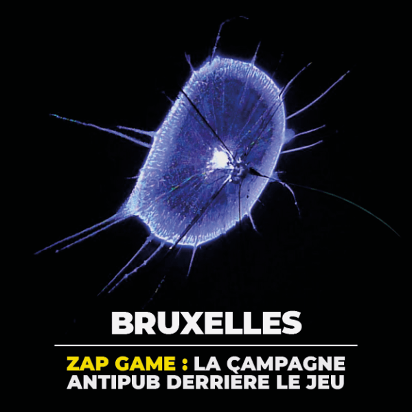 ZAP GAME : Bruxelles Zone Anti-Pub, plusieurs centaines de panneaux&nbsp;attaqués