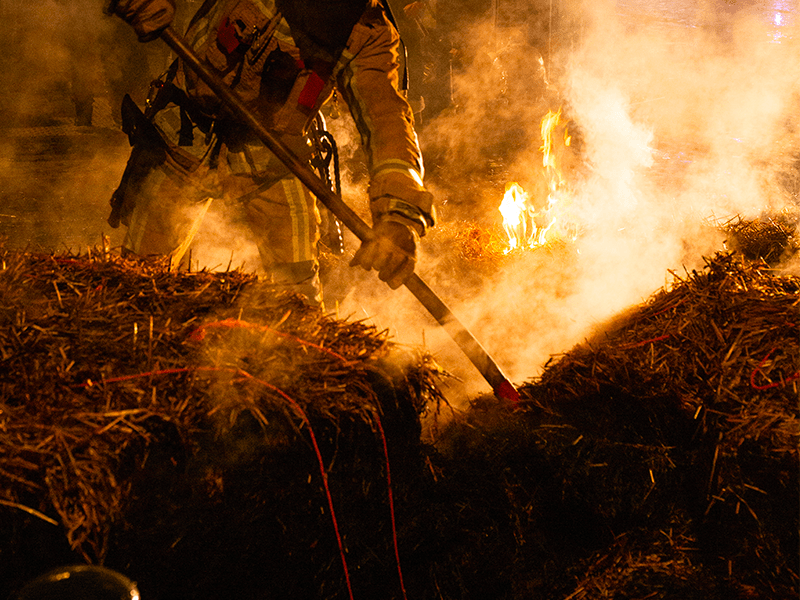 Comprendre la révolte des agriculteur•ices contre&nbsp;l’Europe
