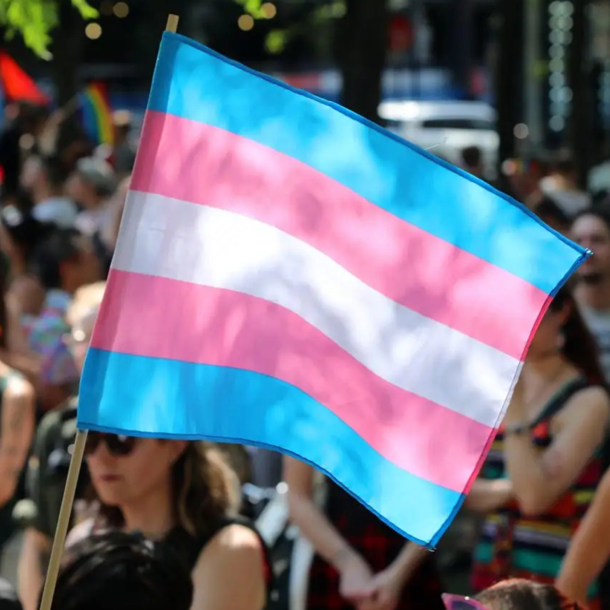 Belgique – Mobilisation pour les droits humains, trans et&nbsp;reproductifs