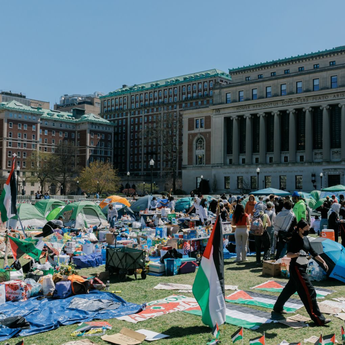PALESTINE : &laquo;&nbsp;Manifestations du printemps étudiant &nbsp;&raquo; : le mouvement d&rsquo;occupation s&rsquo;amplifie