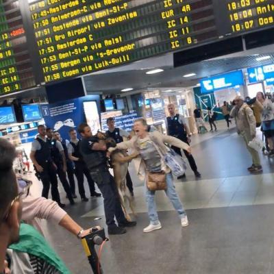 UNE FEMME MORDUE PAR CHIEN POLICIER LORS D&rsquo;UN RASSEMBLEMENT POUR LA&nbsp;PALESTINE