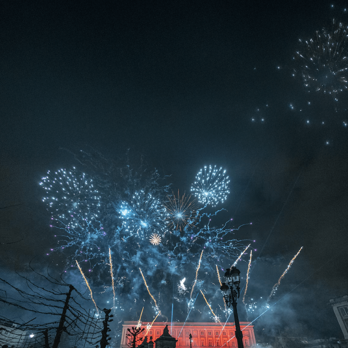 Fascisme : Assignation à résidence, couvre-feu, interdictions … pour le Nouvel An – Interview avec Bruxelles Panthères et le Front Des&nbsp;Mères